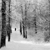 Pilgrims on the Way to the Bogorodichno-Uspenskij Monastery, Tikhvin, Leningrad Region, Russia Photographic Print by Nadia Isakova