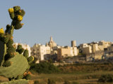 Mdina, View over the Surrounding Fields to the Ancient Walled City of Mdina, Malta Photographic Print by John Warburton-lee