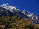 Autumn Foliage in Front of the Corniced Summit of Paine Grande Photographic Print by John Warburton-lee