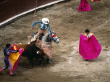 Crowds at a Stadium for a Bullfight, Quito, Ecuador Fotografie-Druck von Paul Harris