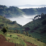 Mist Hugs the Bottom of Valley in Early Morning in Beautiful Hill-Country of Southwest Uganda Fotografisk tryk af Nigel Pavitt