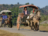 Burma, Mrauk U, Horse-Drawn Carts Heading for the Market Near Mrauk U, Myanmar Photographic Print by Nigel Pavitt
