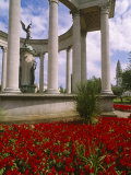 Cardiff, Park Place War Memorial, Cardiff City Centre, Wales Photographic Print by Paul Harris