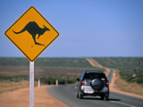 Kangaroo Road Sign, Western Australia, Australia Photographic Print by Doug Pearson