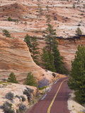 Utah, Zion National Park, USA Photographic Print by Alan Copson