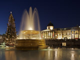 Christmas Tree and Fountains Lit Up in Trafalgar Square for Christmas Photographic Print by Julian Love
