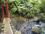 County Maolin Rope Bridge, Taiwan Photographic Print by Christian Kober