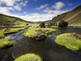 Eldgja, Iceland Photographie par Michele Falzone