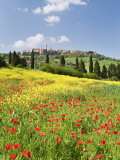 Hill Town Pienza and Field of Poppies, Tuscany, Italy Photographie par Nadia Isakova