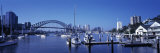 Sydney, New South Wales, Australia Photographic Print by Peter Adams