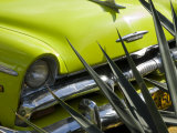 Havana, Vintage American Cars, Havana, Cuba Photographie par Paul Harris