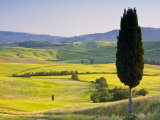 Landscale Near Pienza, Val D' Orcia, Tuscany, Italy Photographic Print by Doug Pearson
