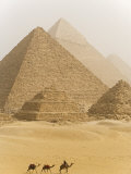 Camels Pass in Front of the Pyramids at Giza, Egypt Photographie par Julian Love