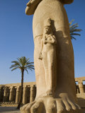 Colossal Statue of Ramses Ii Stands in the Great Forecourt of Karnak Temple, Luxor, Egypt Photographic Print by Julian Love