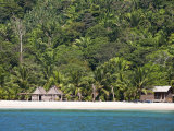 Tela, Parque National Jeanette Kawas, Punta Sal, Cocalto Beach, Honduras Photographic Print by Jane Sweeney