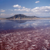Lake Natron in Northern Tanzania Is One of the Most Alkaline of the Rift System Photographie par Nigel Pavitt