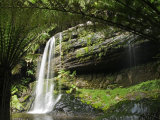 Tasmania, Mount Fields National Park, Russel Falls, Australia Photographie par Christian Kober