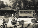 Seychelles, La Digue Island, L'Union Estate Plantation, Anse Source D'Argent Beach Lámina fotográfica por Walter Bibikow