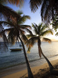 Vieques Island, Esperanza Bay, Puerto Rico Photographic Print by Michele Falzone