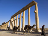 Spectacular Ruined City of Palmyra, Syria Photographic Print by Julian Love