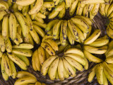 Port Louis, Central Market, Bananas, Mauritius Photographic Print by Walter Bibikow