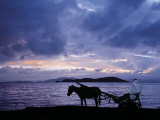 Dawn at Lake Ziway, Central Ethiopia, with the Silhouette of a Horse-Drawn Buggy Photographic Print by Nigel Pavitt