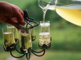 Czech Republic, Elderflower Champagne, Mikulov, Moravia Photographic Print by Paul Harris