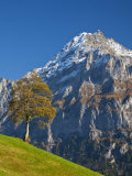Autumn Color and Alpine Meadow, Wetterhorn and Grindelwald, Berner Oberland, Switzerland Photographic Print by Doug Pearson