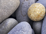 Pebbles in Sandymouth Beach, Cornwall, UK Photographic Print by Nadia Isakova