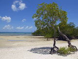 Main Beach at Fundu Lagoon at Low Tide, Fundu Lagoon Resort, Pemba Island, Zanzibar, East Africa Photographic Print by Paul Harris