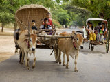 Myanmar, Burma, Bagan, an Ox-Drawn Farm Cart Passes a Horse-Drawn Buggy on Road to Nyaung U Market Photographic Print by Nigel Pavitt