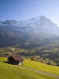 Alpine Meadow, Eiger and Grindelwald, Berner Oberland, Switzerland Photographic Print by Doug Pearson