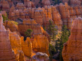 Utah, Bryce Canyon National Park, Near Sunset Point, USA Photographic Print by Alan Copson
