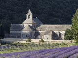 Abbey De Senanque and Lavender Fields, Near Gordes, Vaucluse, Provence, France, Europe Photographic Print by Guy Edwardes