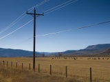 Colorado, Near Granby, Farmland, USA Photographic Print by Alan Copson