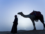 Bedouin Leads His Camel Along the Top a Dune at Sunset, Giza, Egypt Photographic Print by Julian Love