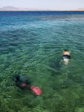 Diver, Aqaba, Jordan, Middle East Photographic Print by Nico Tondini