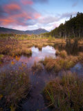 Maine, Baxter State Park, USA Photographic Print by Alan Copson