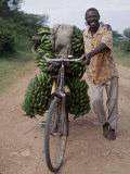 Bananas are Grown Everywhere in Uganda Fotografisk tryk af Nigel Pavitt