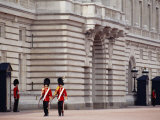 Officers Patrol the Minutes, Buckingham Palace, London Photographic Print by John Warburton-lee