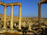 Pillars of the 'Great Colonnade' Stretch into the Distance at Palmyra Photographic Print by Amar Grover