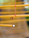 Macau, a Ma Temple, Incense Coils, China Photographic Print by Gavin Hellier