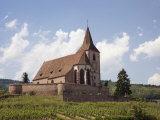 The 15th Century Fortified Church of St. Jacques and Grand Cru Vineyards Photographie par Pearl Bucknall