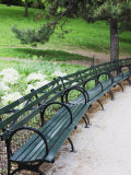 Benches, Central Park, Manhattan Photographic Print by Amanda Hall