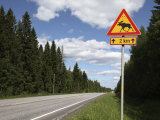 Road Sign for Elk Crossing, Highway Number 14, Punkaharju Ridge, Savonlinna Photographic Print by Dallas & John Heaton