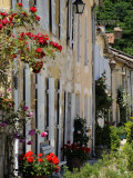 Street of Houses, St. Jean De Cole, Dordogne, France, Europe Photographic Print by Peter Richardson