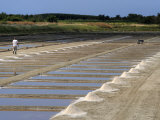 Collecting Salt in Salt Pans, Ars-En-Re, Ile De Re, Charente Maritime, France, Europe Photographic Print by Peter Richardson