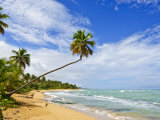 Tres Palmitas Beach, Puerto Rico, West Indies, Caribbean, Central America Photographic Print by Michael DeFreitas Tres Palmitas Beach, Puerto Rico, West Indies, Caribbean, Central America Photographic Print by Michael DeFreitas