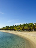 Beach, Bonaire, Netherlands Antilles, West Indies, Caribbean, Central America Photographic Print by Michael DeFreitas