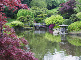 Japanese Garden, Brooklyn Botanical Garden, Brooklyn Fotografie-Druck von Christian Kober